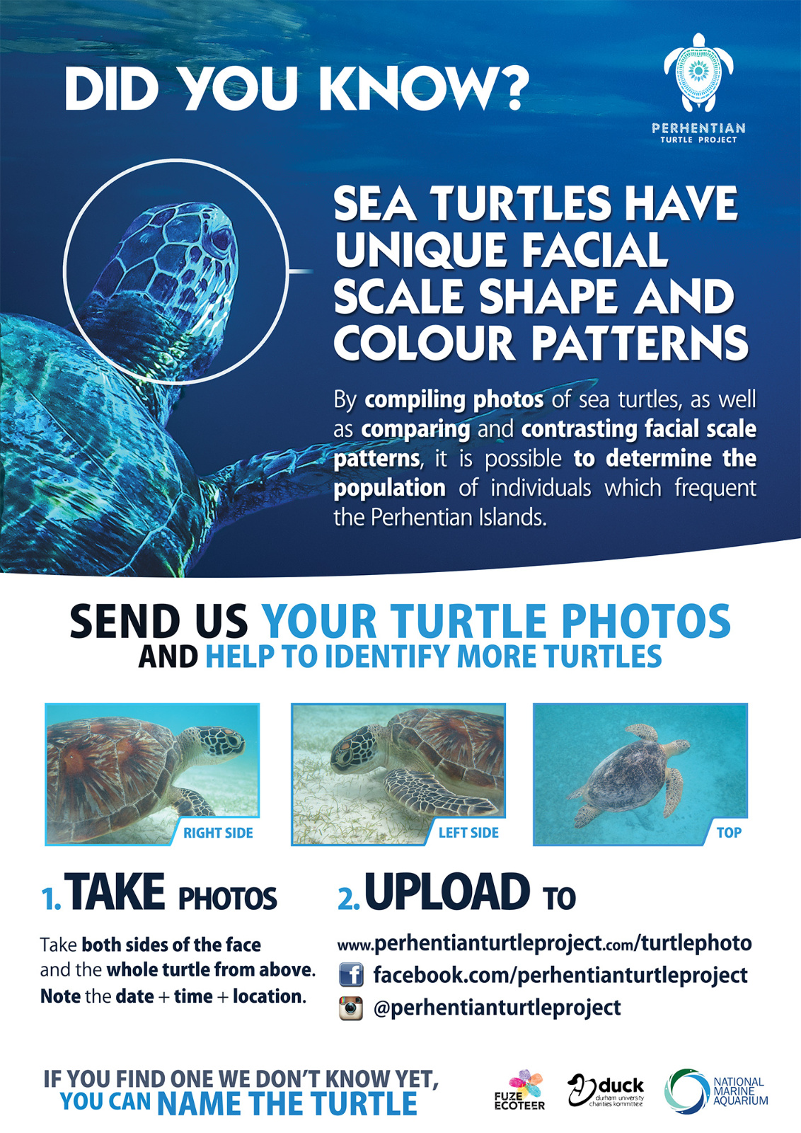 A poster providing information for citizen scientists to participate in photo ID research